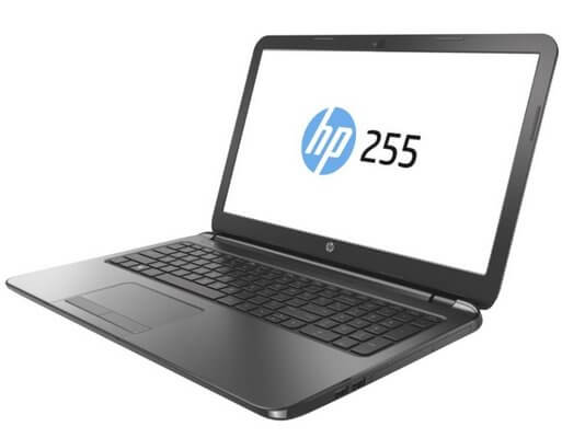 Замена матрицы на ноутбуке HP 255 G1